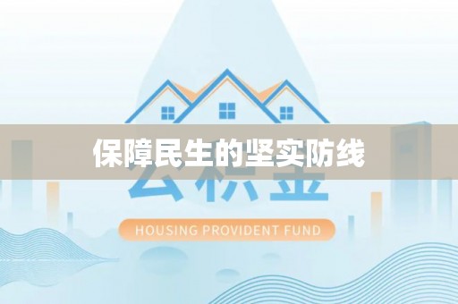 新林保障民生的坚实防线