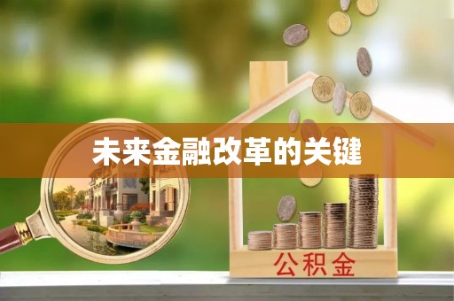 新林未来金融改革的关键