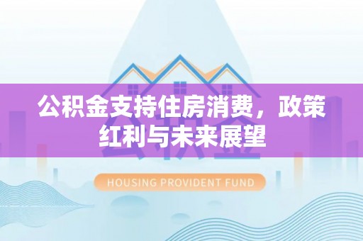 新林公积金支持住房消费，政策红利与未来展望