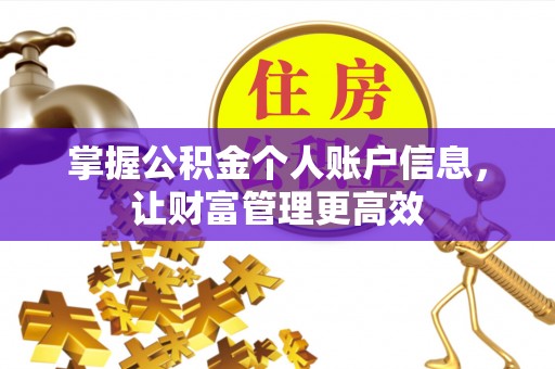 新林掌握公积金个人账户信息，让财富管理更高效