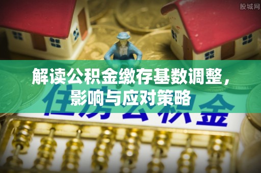 新林解读公积金缴存基数调整，影响与应对策略