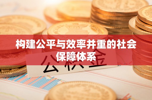 新林构建公平与效率并重的社会保障体系