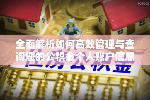 新林全面解析如何高效管理与查询您的公积金个人账户信息