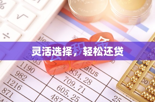 新林灵活选择，轻松还贷