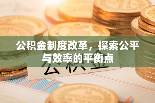 新林公积金制度改革，探索公平与效率的平衡点
