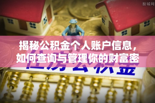 新林揭秘公积金个人账户信息，如何查询与管理你的财富密码