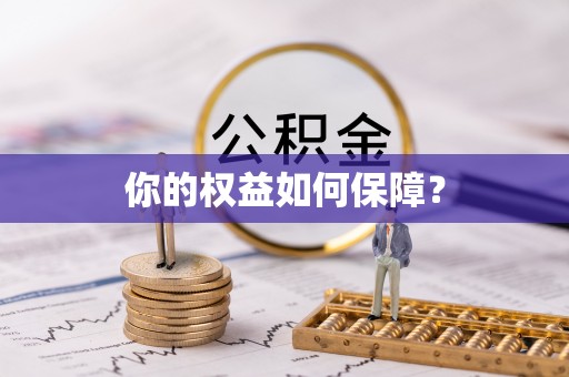 新林你的权益如何保障？