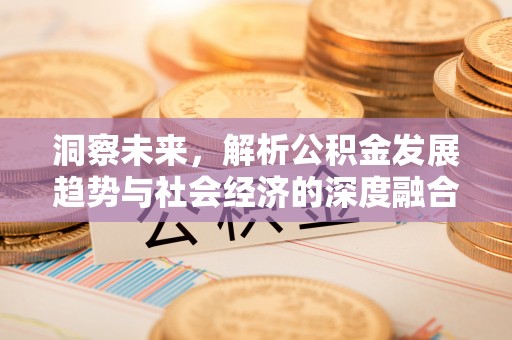 新林洞察未来，解析公积金发展趋势与社会经济的深度融合