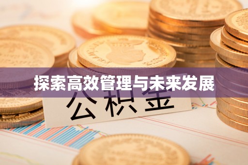 新林探索高效管理与未来发展