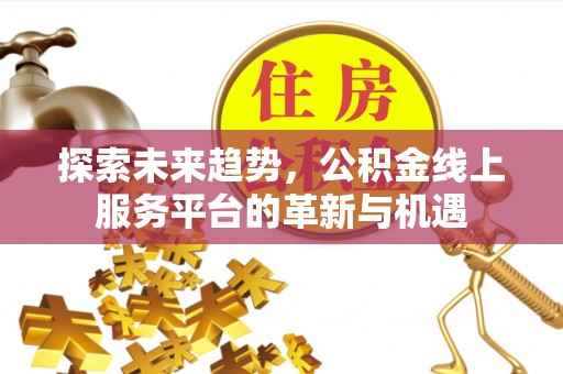 新林探索未来趋势，公积金线上服务平台的革新与机遇