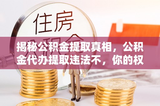 新林揭秘公积金提取真相，公积金代办提取违法不，你的权益如何保障？