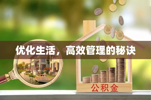 新林优化生活，高效管理的秘诀