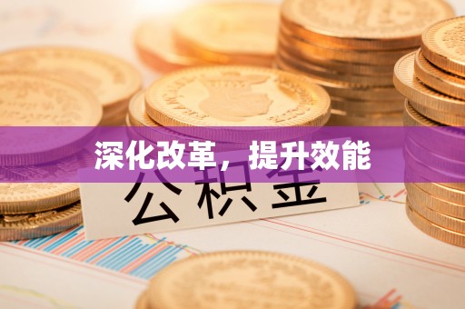 新林深化改革，提升效能