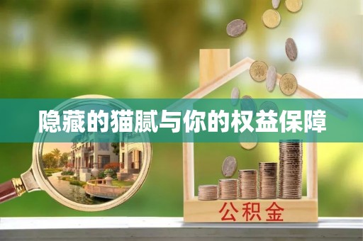 新林隐藏的猫腻与你的权益保障