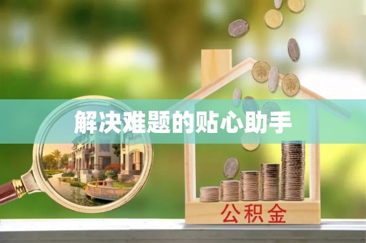 新林解决难题的贴心助手