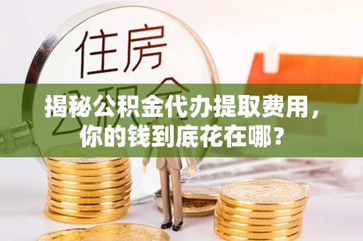 新林揭秘公积金代办提取费用，你的钱到底花在哪？