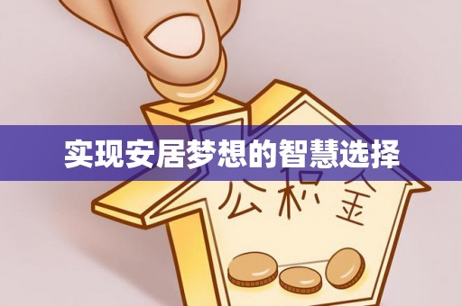 新林实现安居梦想的智慧选择