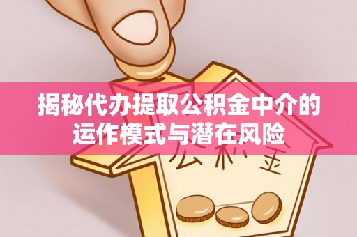 新林揭秘代办提取公积金中介的运作模式与潜在风险