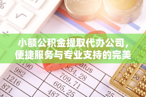 新林小额公积金提取代办公司，便捷服务与专业支持的完美结合