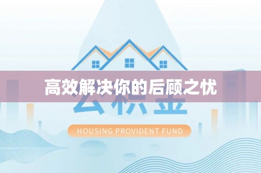 新林高效解决你的后顾之忧