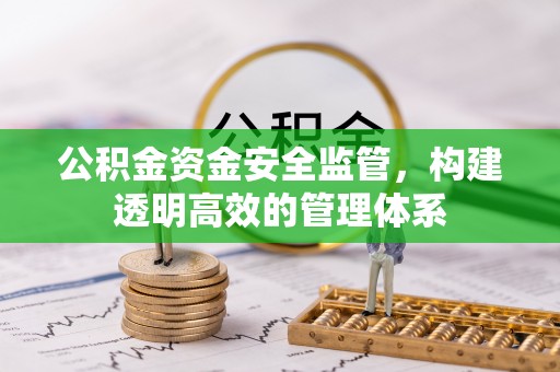 新林公积金资金安全监管，构建透明高效的管理体系