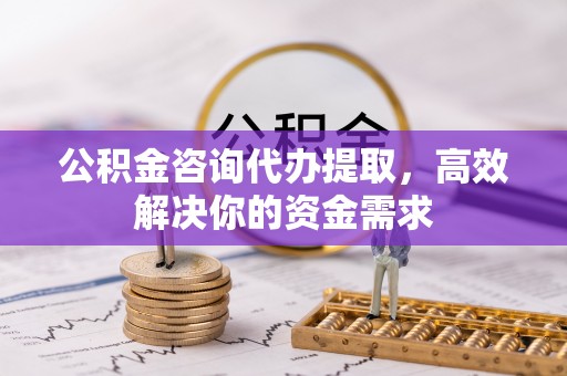 新林公积金咨询代办提取，高效解决你的资金需求
