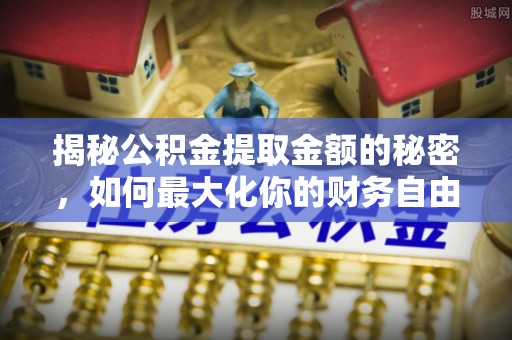 新林揭秘公积金提取金额的秘密，如何最大化你的财务自由