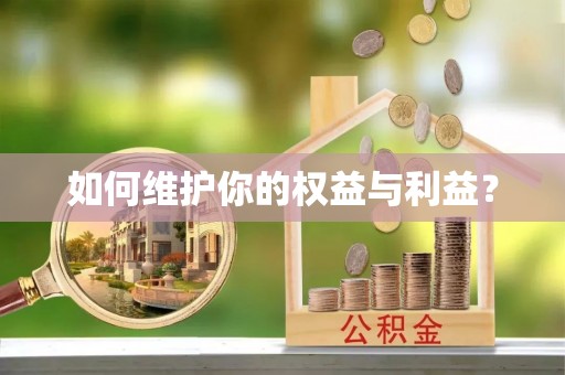 新林如何维护你的权益与利益？