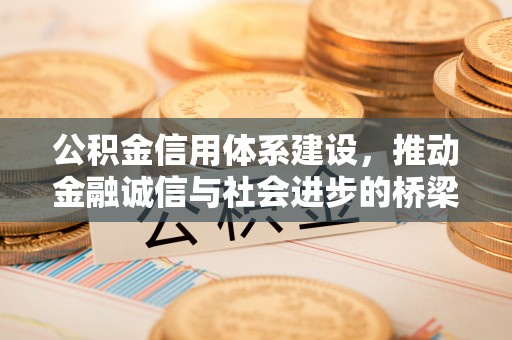 新林公积金信用体系建设，推动金融诚信与社会进步的桥梁
