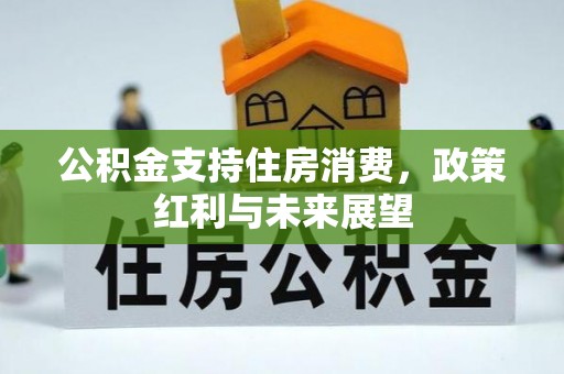 新林公积金支持住房消费，政策红利与未来展望