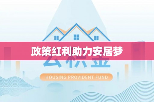 新林政策红利助力安居梦