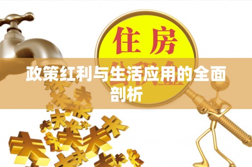 新林政策红利与生活应用的全面剖析