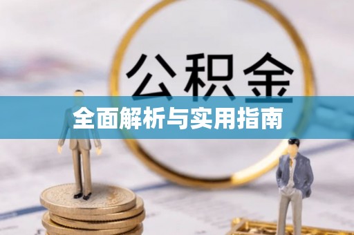 新林全面解析与实用指南