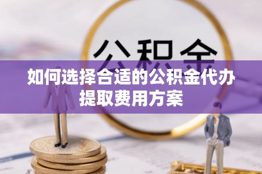 新林如何选择合适的公积金代办提取费用方案