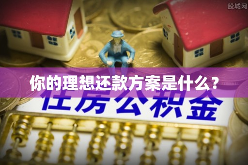 新林你的理想还款方案是什么？