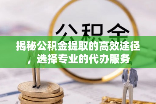 新林揭秘公积金提取的高效途径，选择专业的代办服务