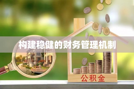 新林构建稳健的财务管理机制