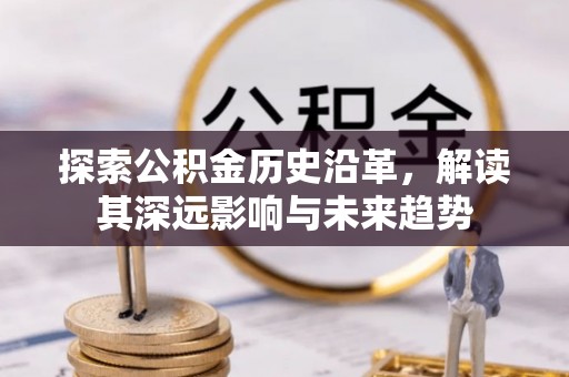 新林探索公积金历史沿革，解读其深远影响与未来趋势