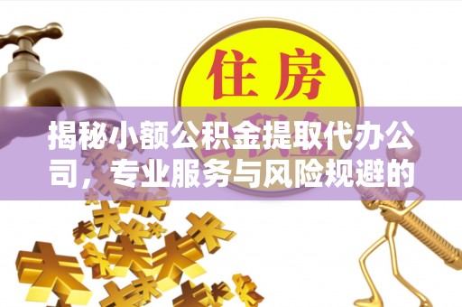 新林揭秘小额公积金提取代办公司，专业服务与风险规避的平衡艺术