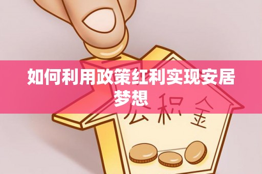 新林如何利用政策红利实现安居梦想