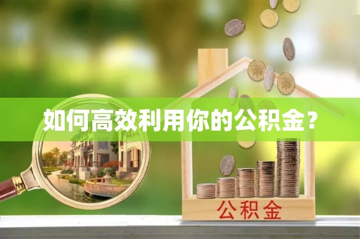 新林如何高效利用你的公积金？