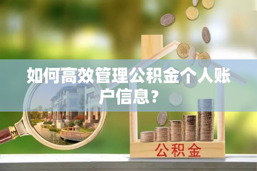 新林如何高效管理公积金个人账户信息？