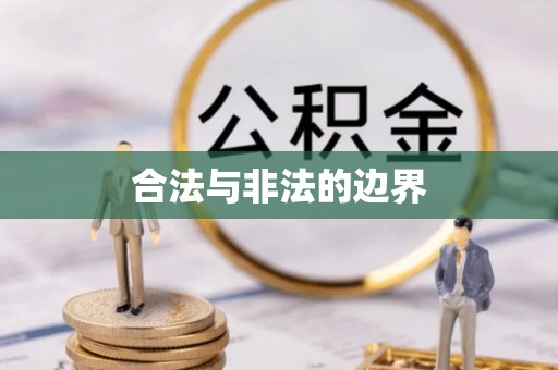 新林合法与非法的边界