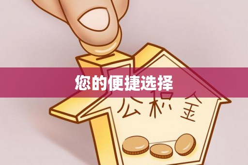 新林您的便捷选择
