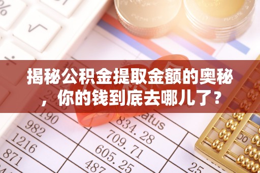 新林揭秘公积金提取金额的奥秘，你的钱到底去哪儿了？