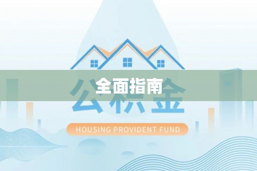 新林全面指南
