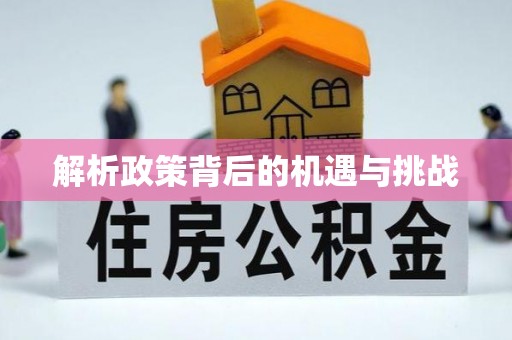 新林解析政策背后的机遇与挑战
