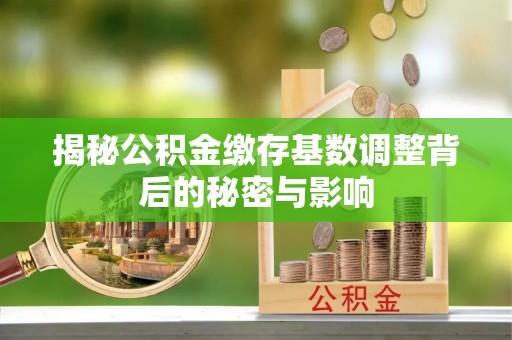 新林揭秘公积金缴存基数调整背后的秘密与影响