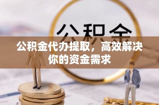 新林公积金代办提取，高效解决你的资金需求