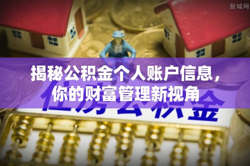 新林揭秘公积金个人账户信息，你的财富管理新视角